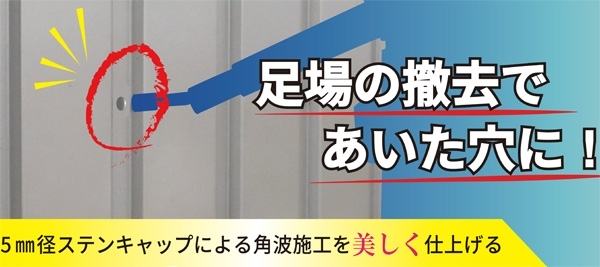 ダンバ　ステンキャップ（穴埋め用）1箱100本入り