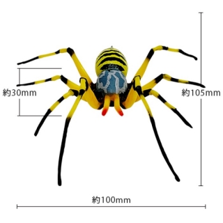 除労蜘蛛（女郎蜘蛛　ジョロウグモ　龍宝丸）