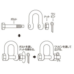 SBMシャックル