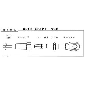 ロックターミナルアイ